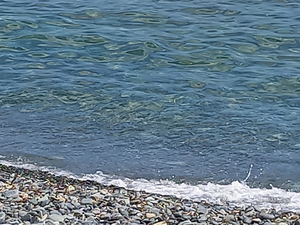 Plage d'Erbalunga