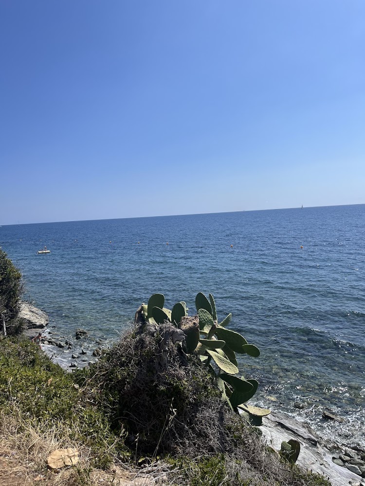 Plage d'Erbalunga