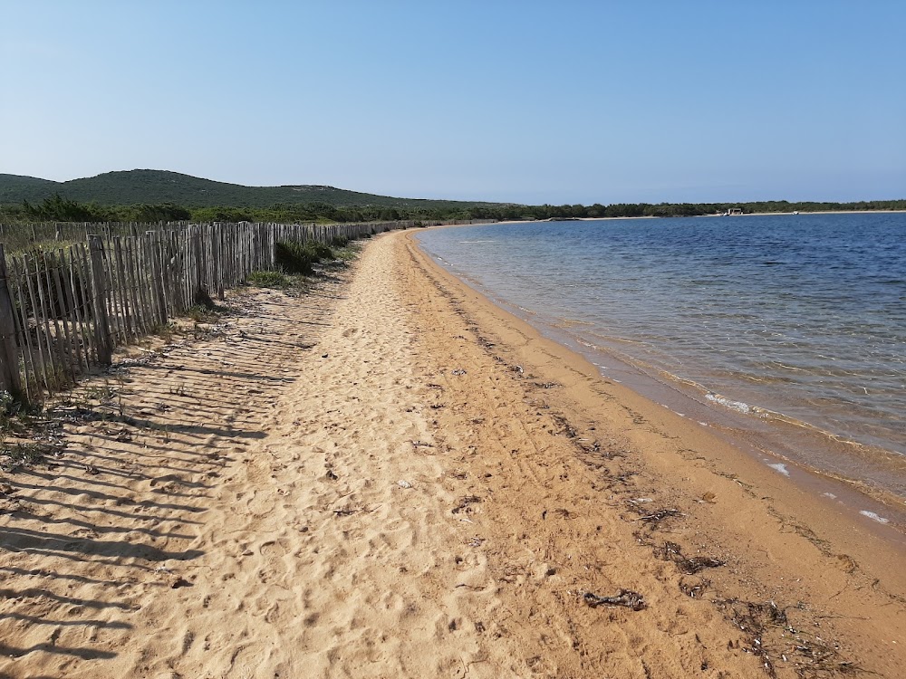 Plage de Figari