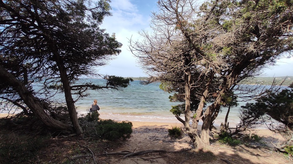 Plage de Figari
