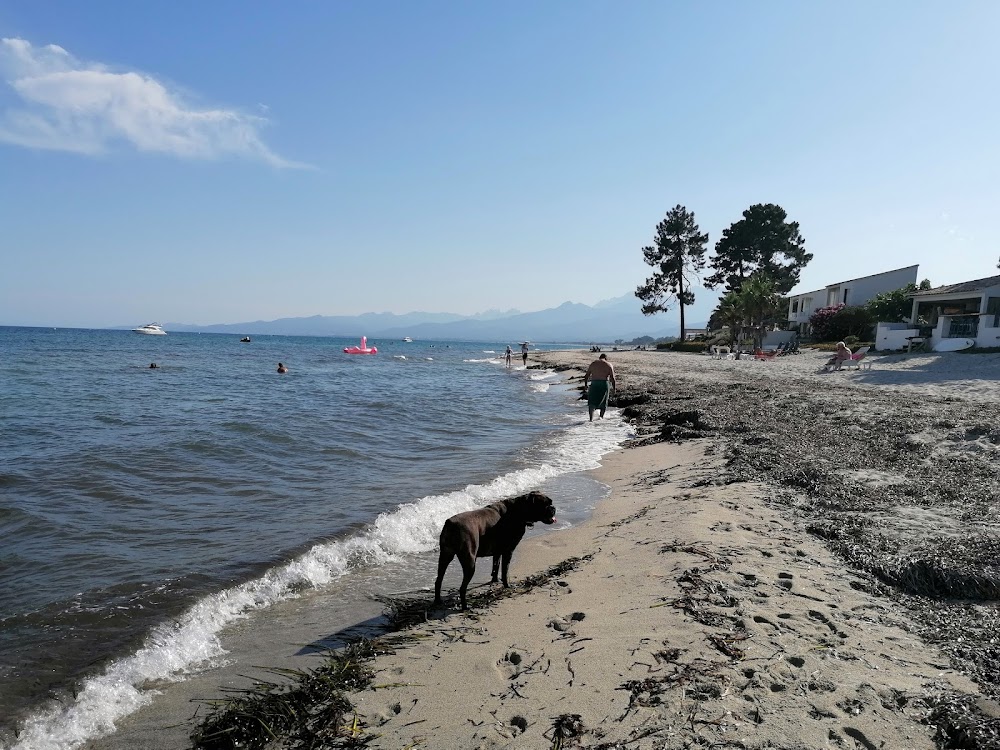Plage de Ghisonaccia