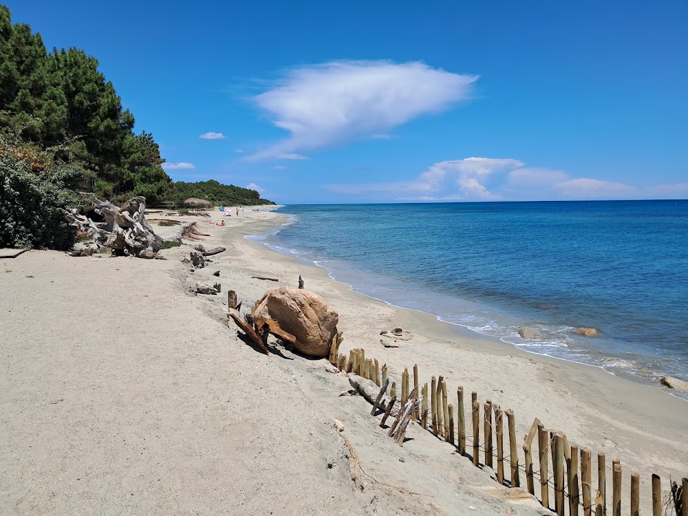 Plage de Vignale