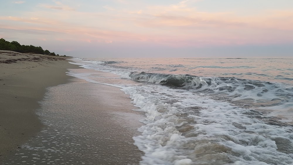 Plage de Vignale
