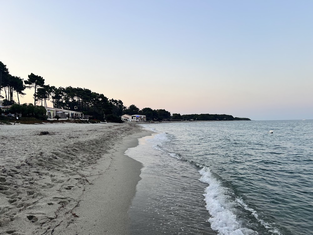Plage de Vignale