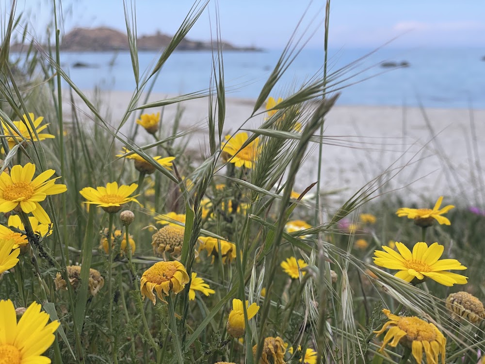 Plage de L'Île-Rousse