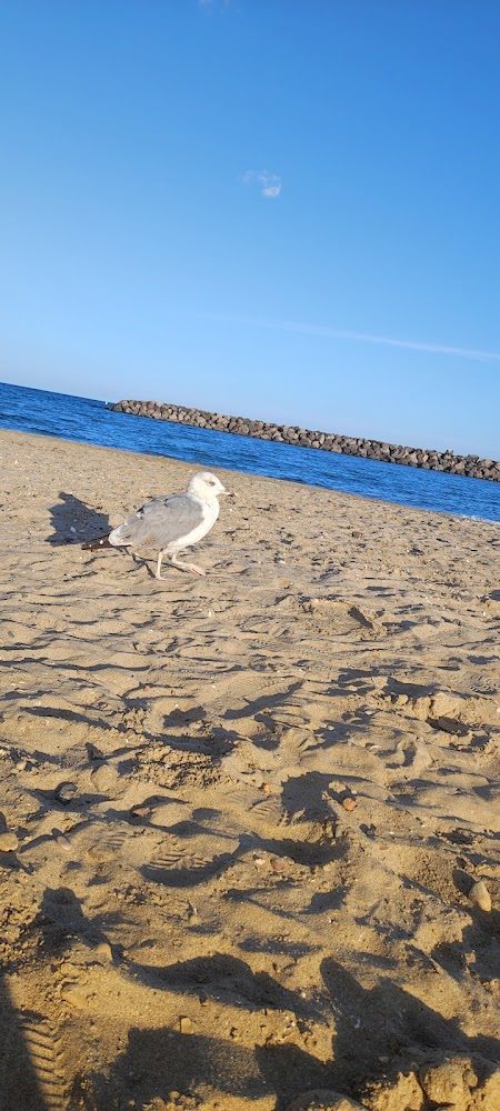 Plage d’Honneur