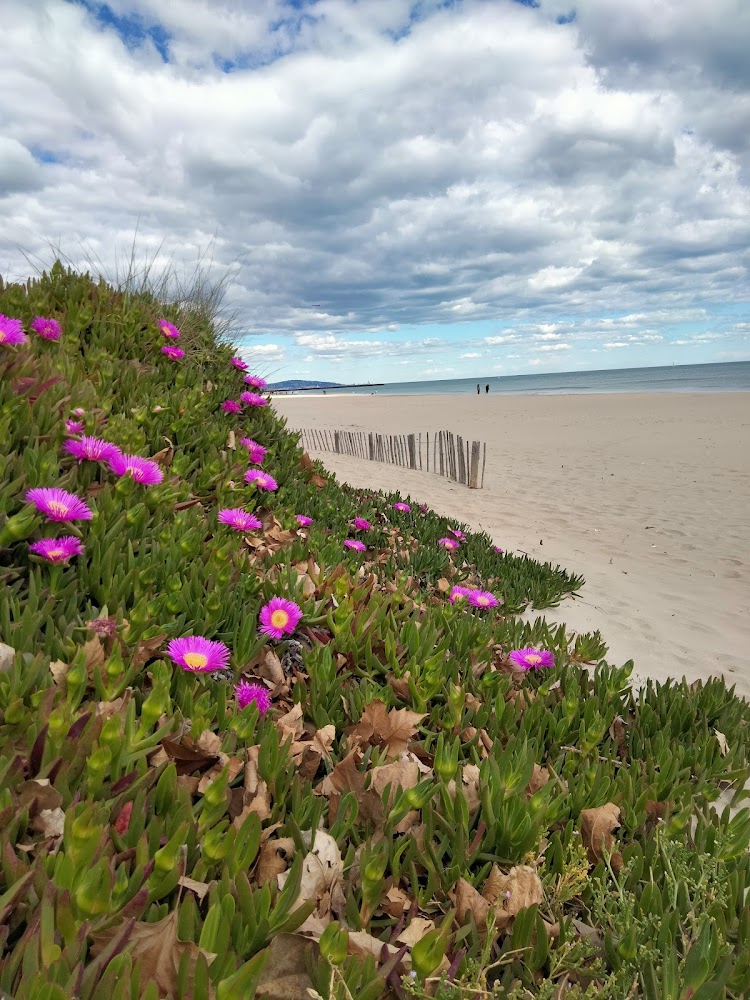 Plage d’Honneur