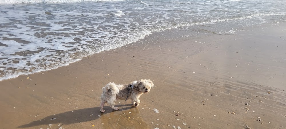Plage de Robinson