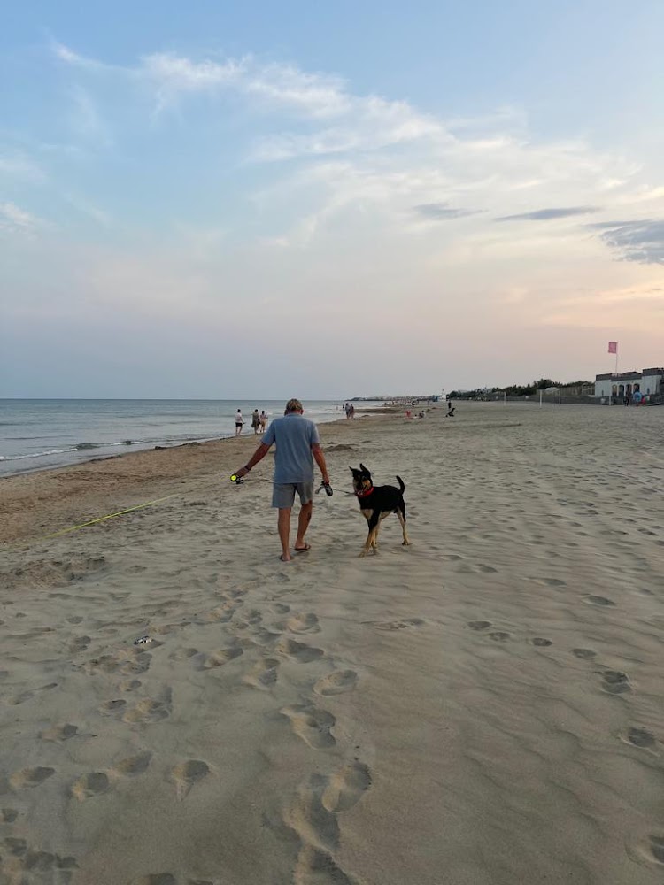 Plage du Payrollet