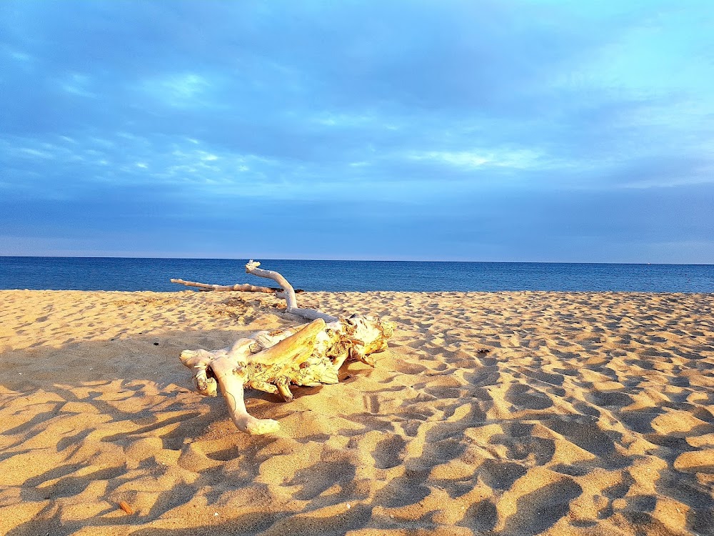 Plage Grande Cosse