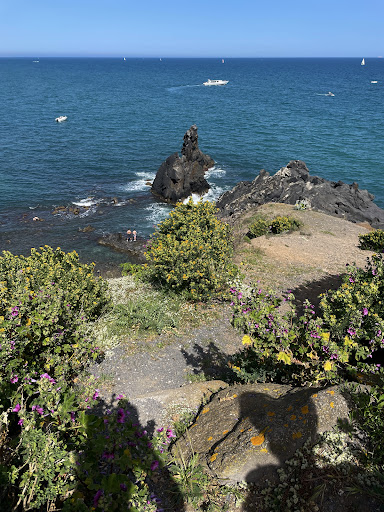 Plage de la Grande Conque