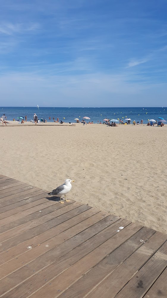 Plage du Môle
