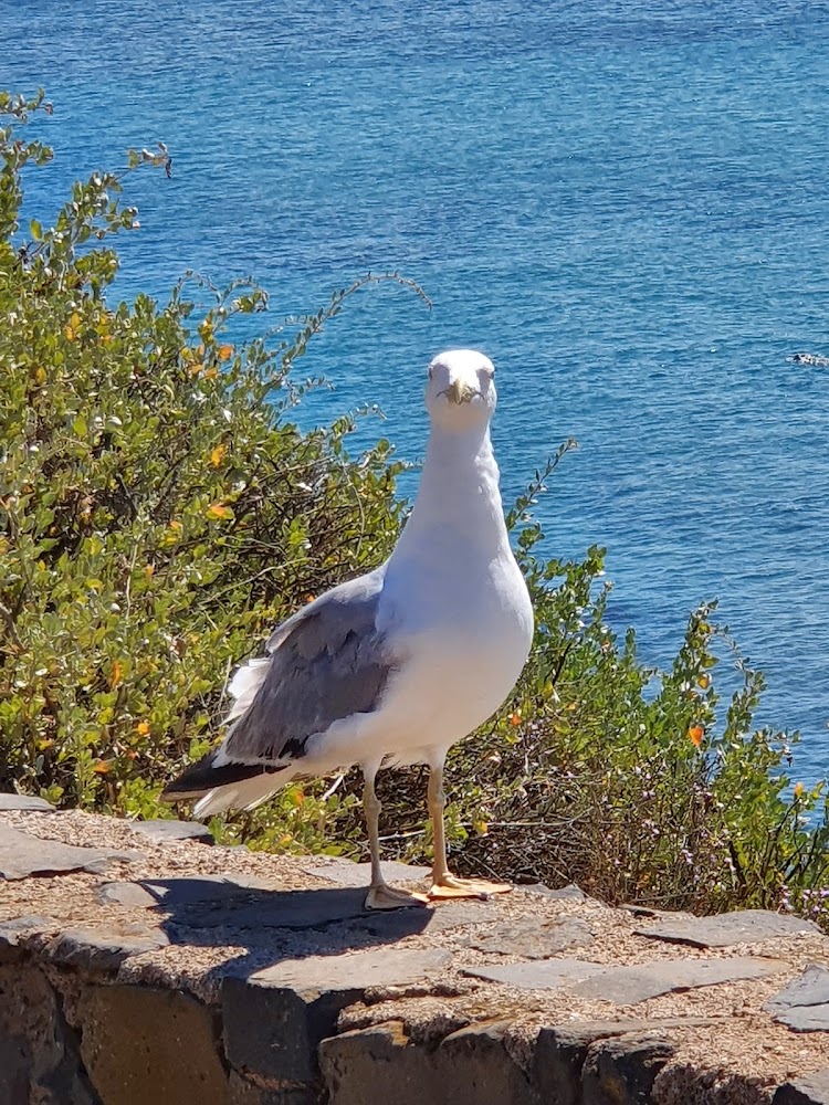 Plage du Môle
