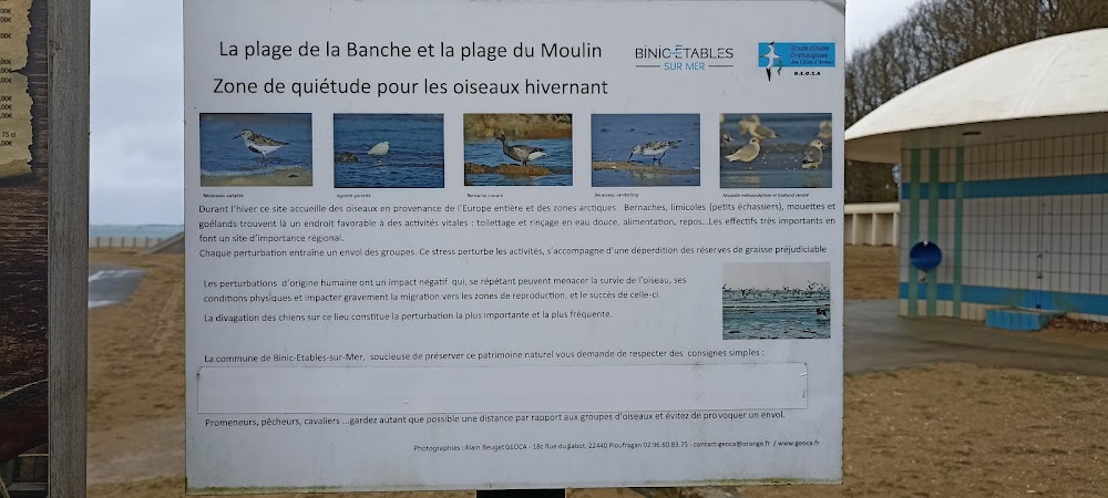Plage du Moulin
