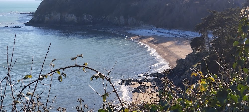 Plage du Moulin