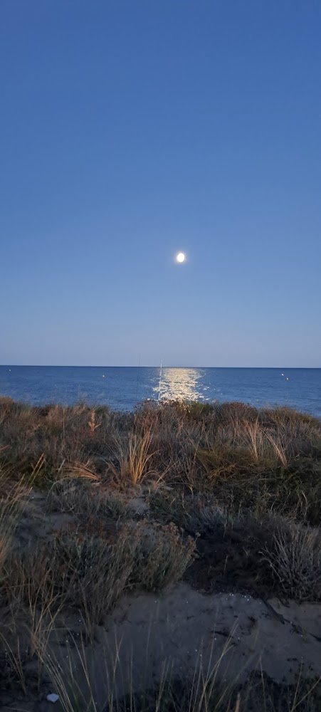 Plage de la Redoute
