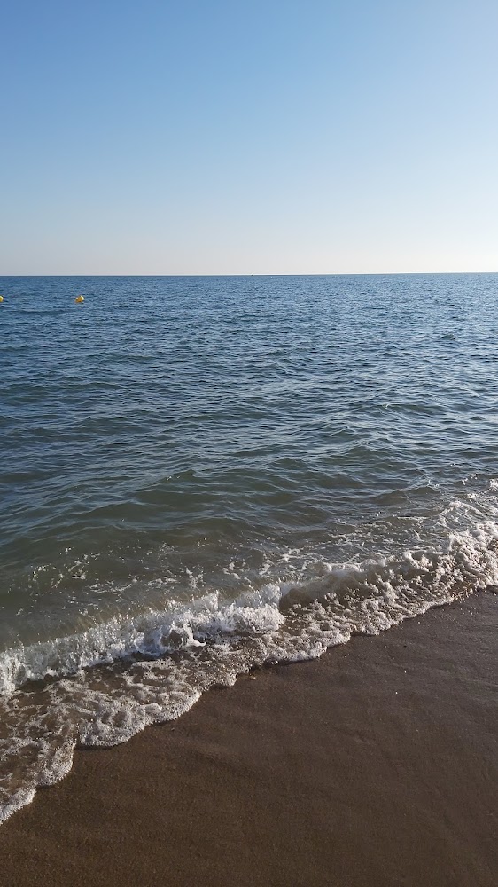 Plage du Bosquet