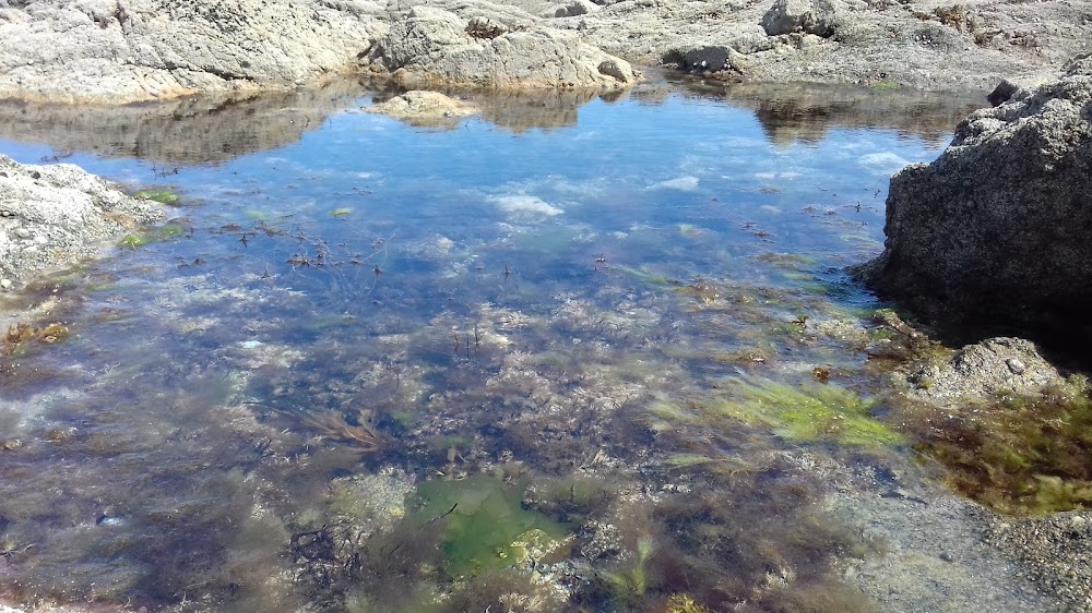 Plage du Mole
