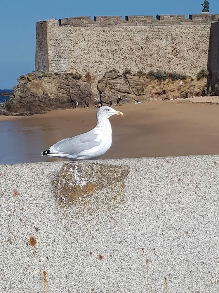Plage du Mole