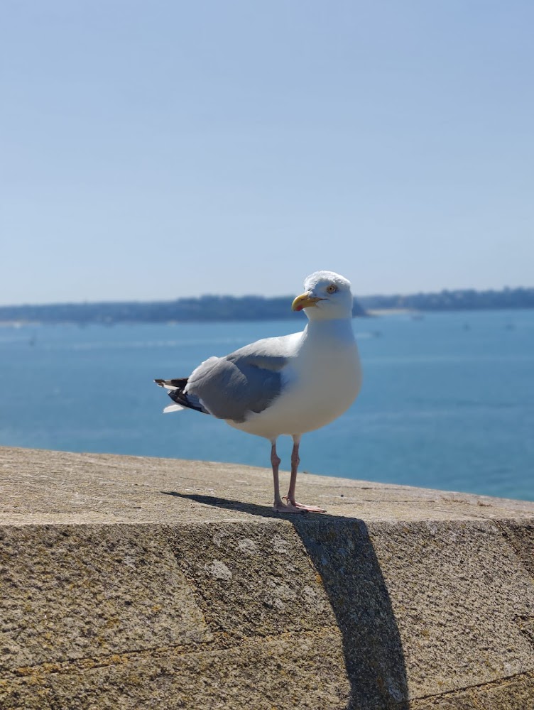 Plage de Bon-Secours