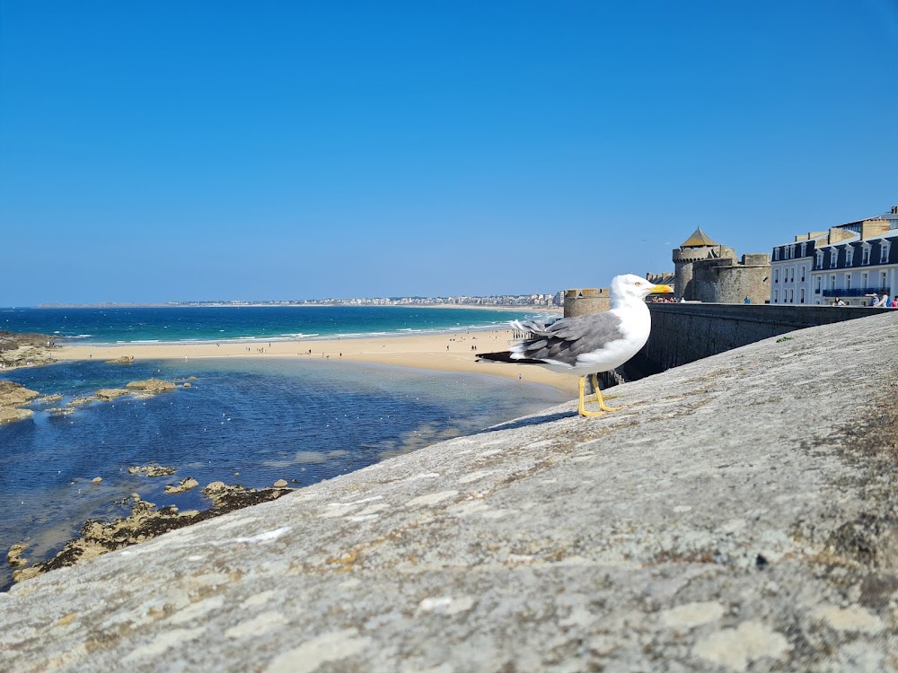 Grande Plage du Sillon