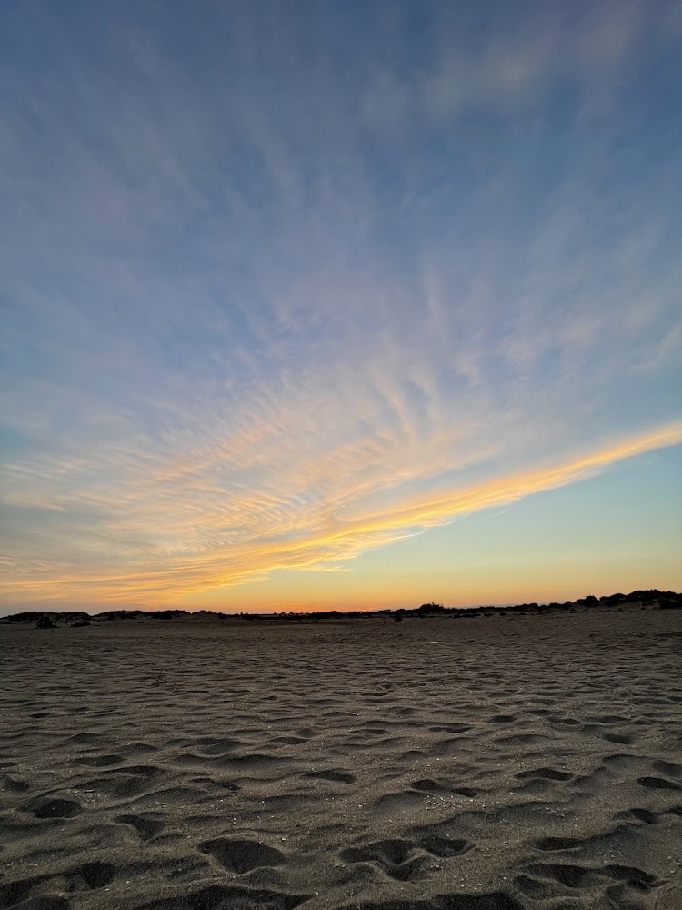 Plage des Orpellières
