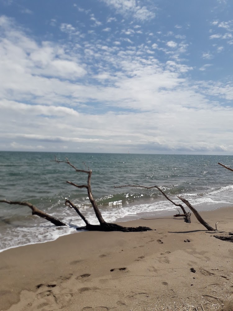 Plage des Orpellières