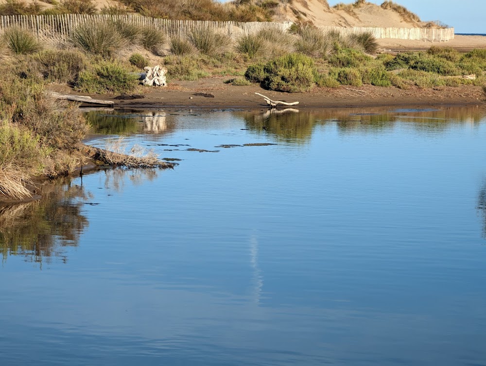 Plage des Orpellières