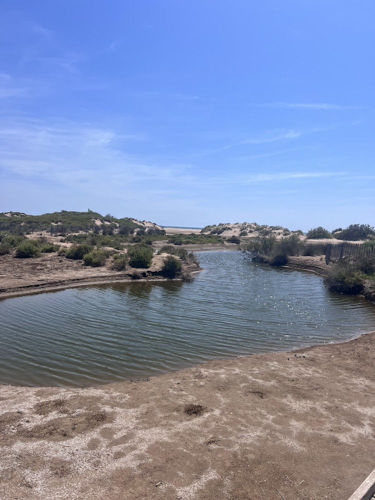 Plage des Orpellières