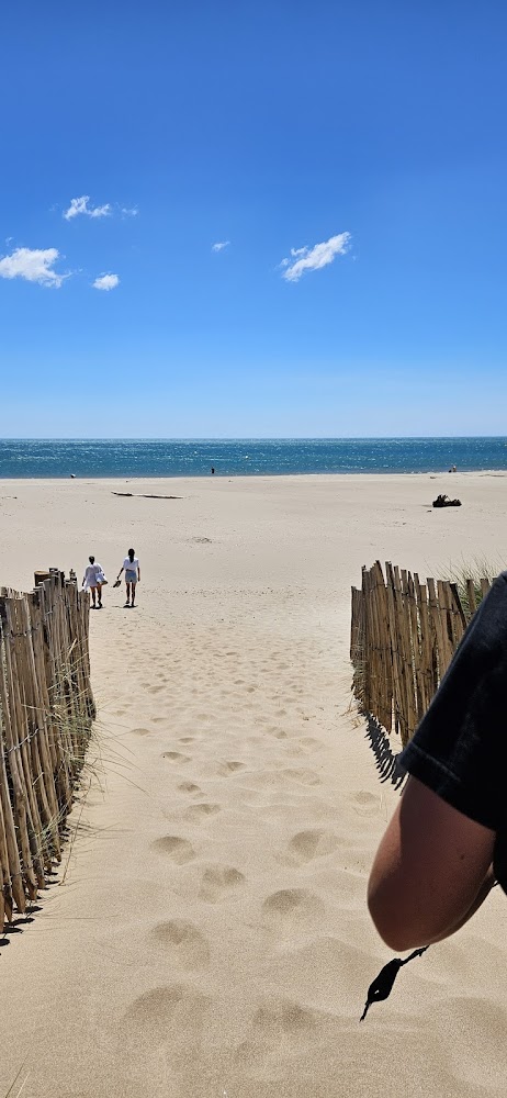 Plage des Orpellières