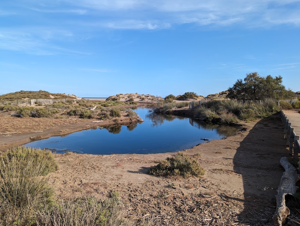 Plage des Orpellières
