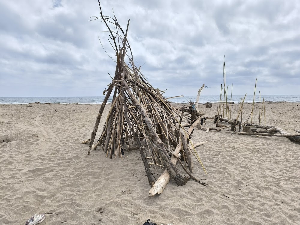Plage des Orpellières