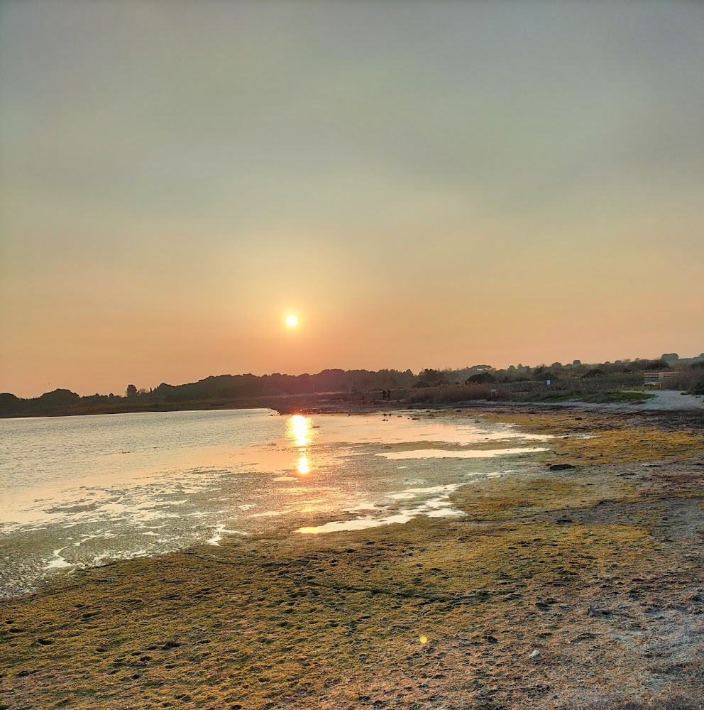 Plage des Orpellières