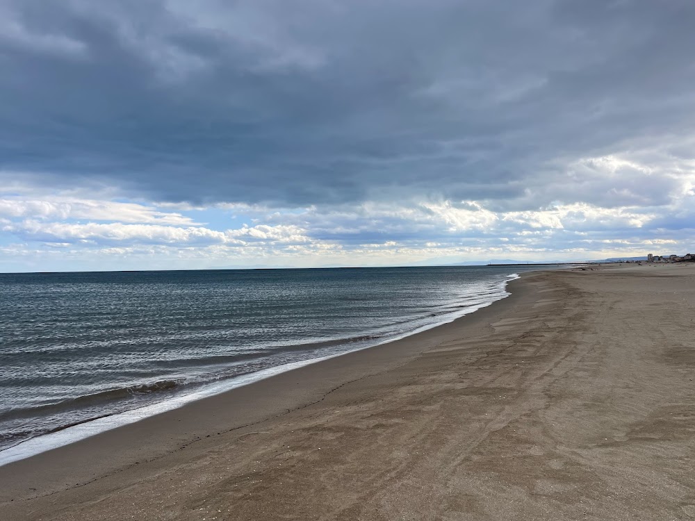 Plage des Orpellières