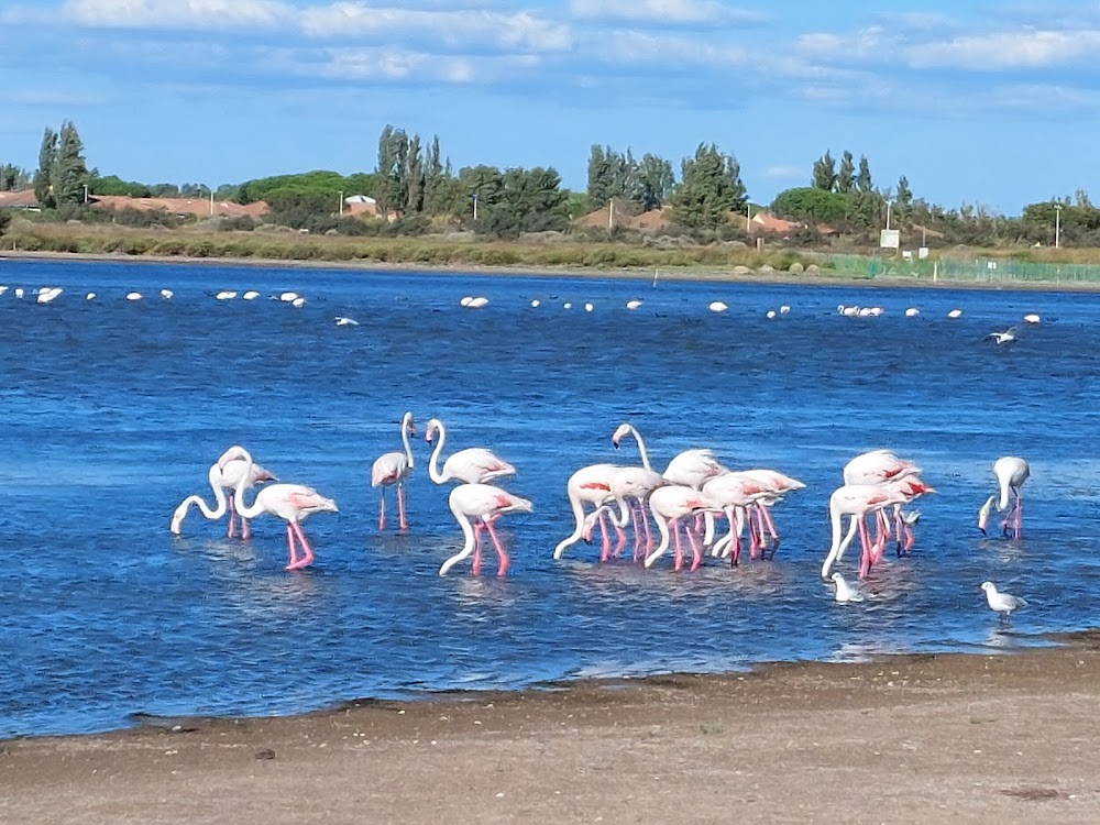 Plage de la Grande Maire