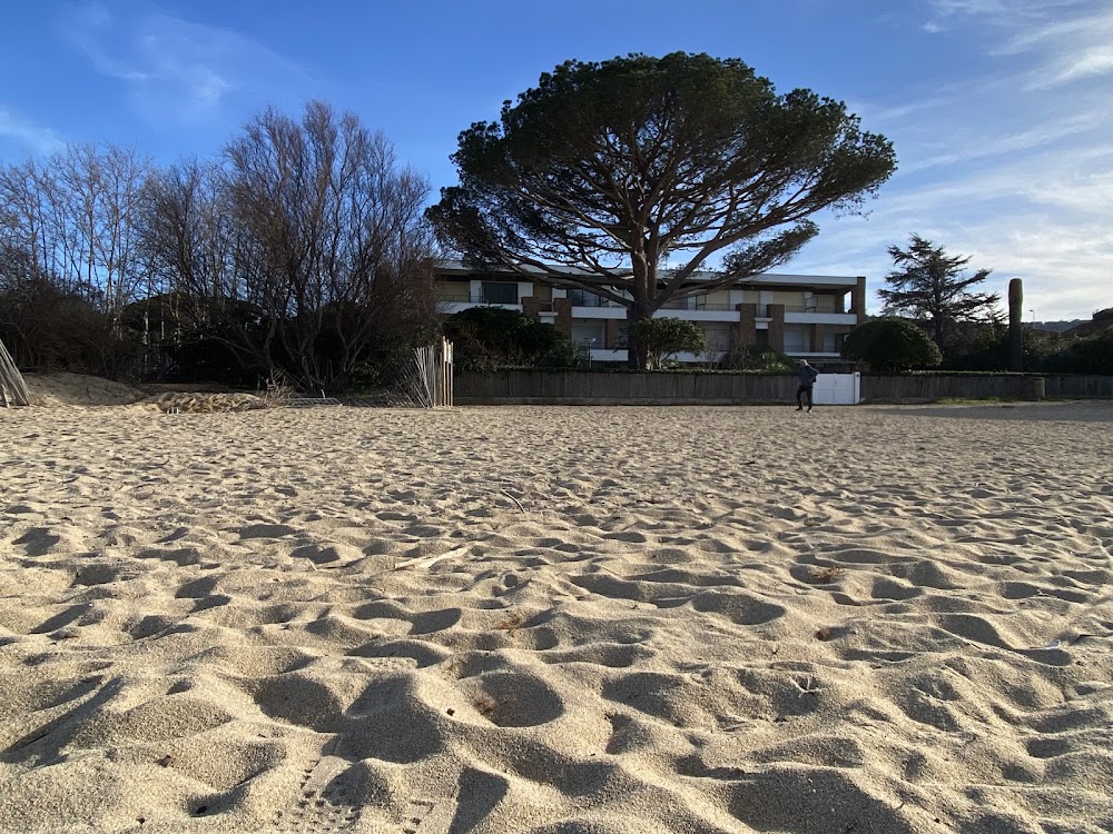 Bouillabaisse beach