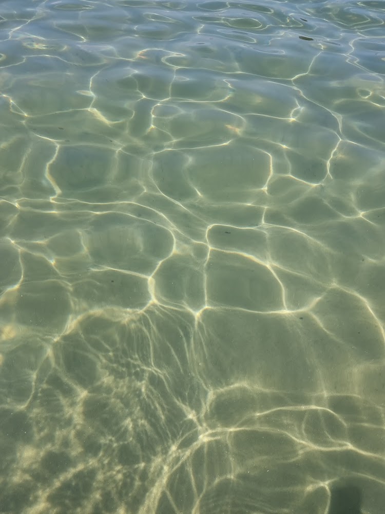 Bouillabaisse beach
