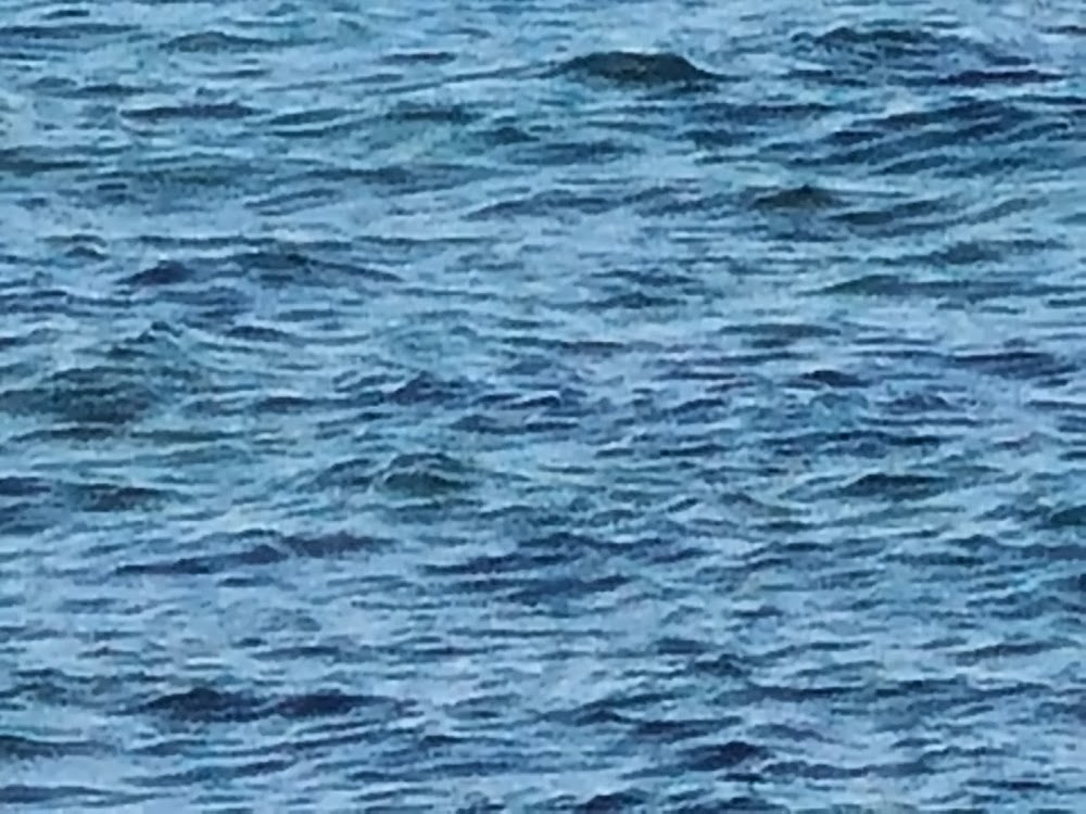 Plage du Pilon