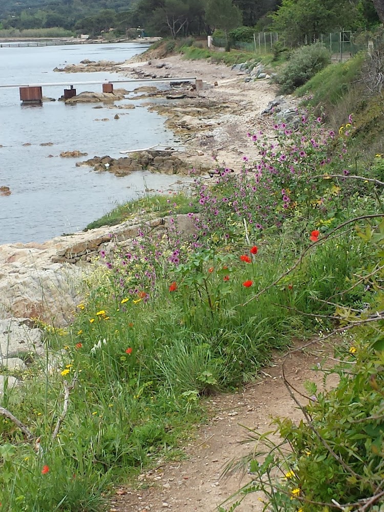 Plage Criques des Graniers