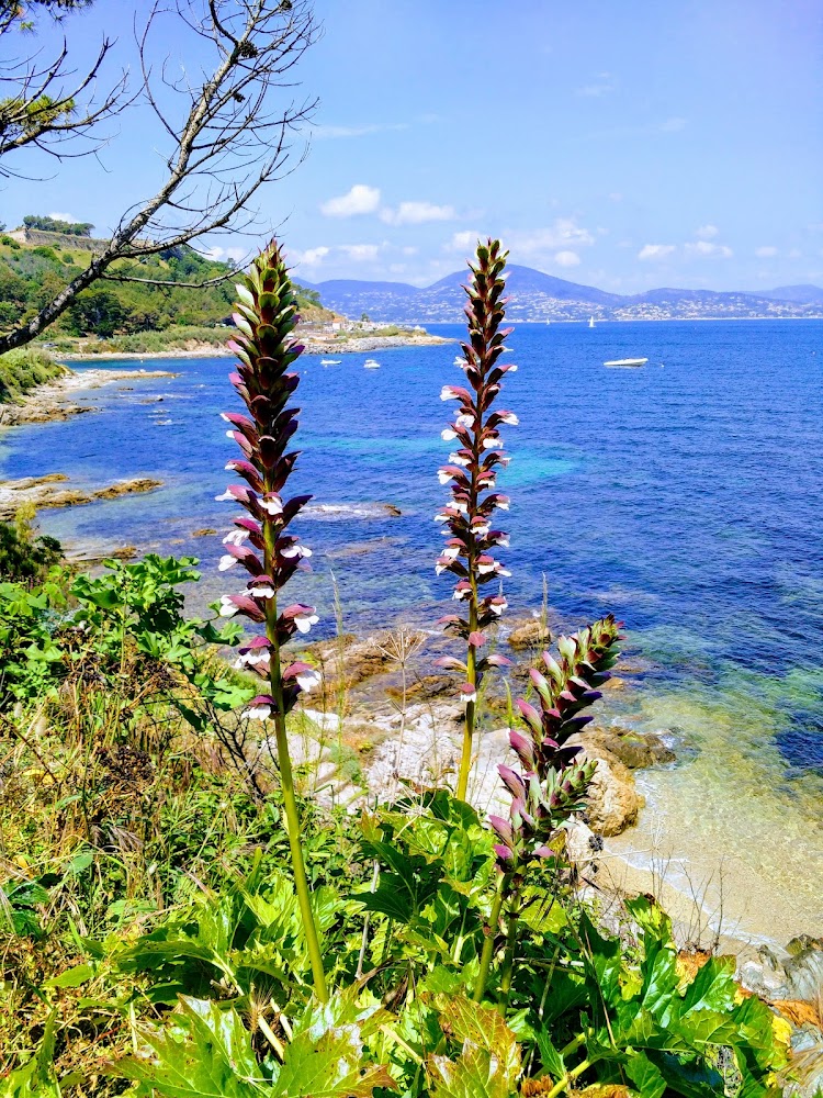 Plage de la Rabiou