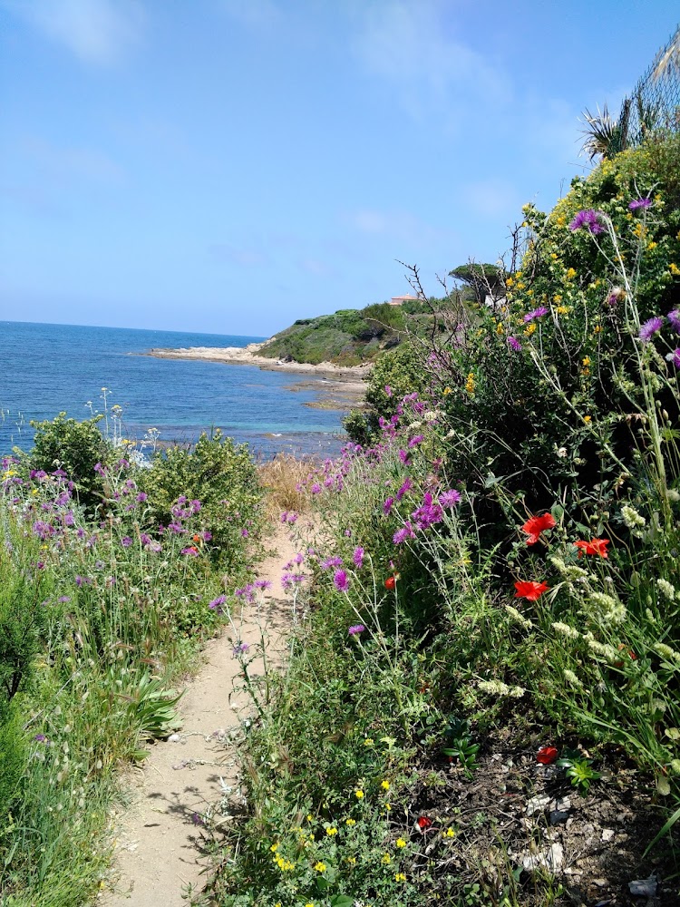 Plage de la Rabiou