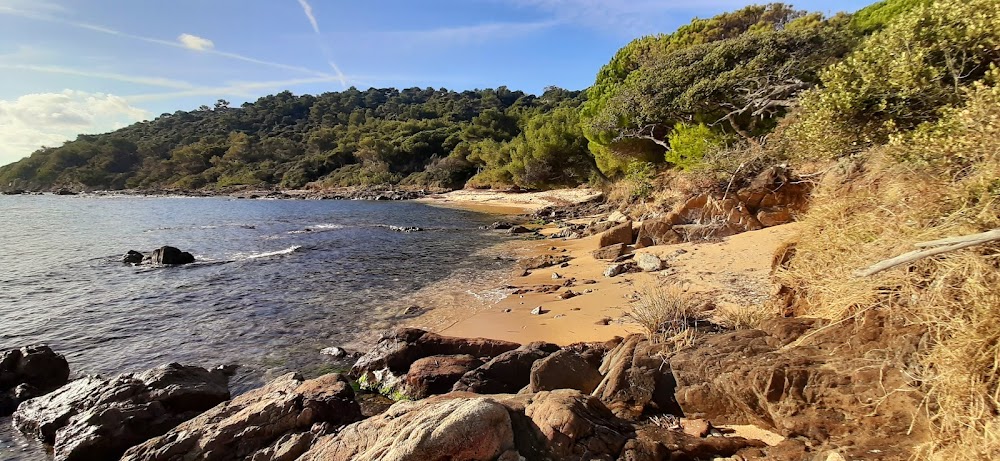 Plage de la Garrigue