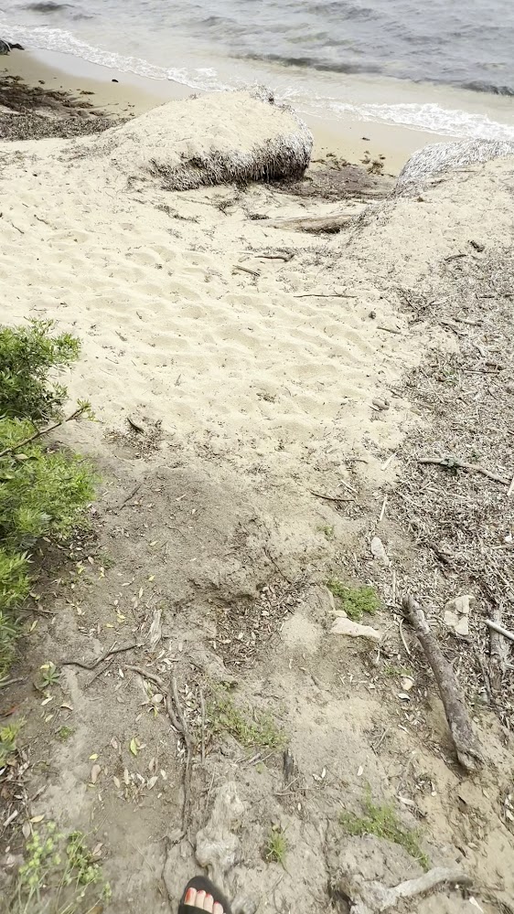Plage de la Garrigue