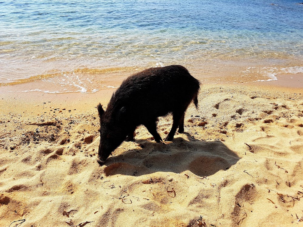Plage de la Garrigue