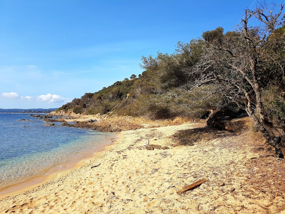 Plage de la Garrigue
