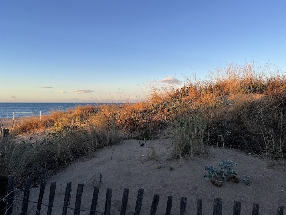Plage naturiste de Sérignan
