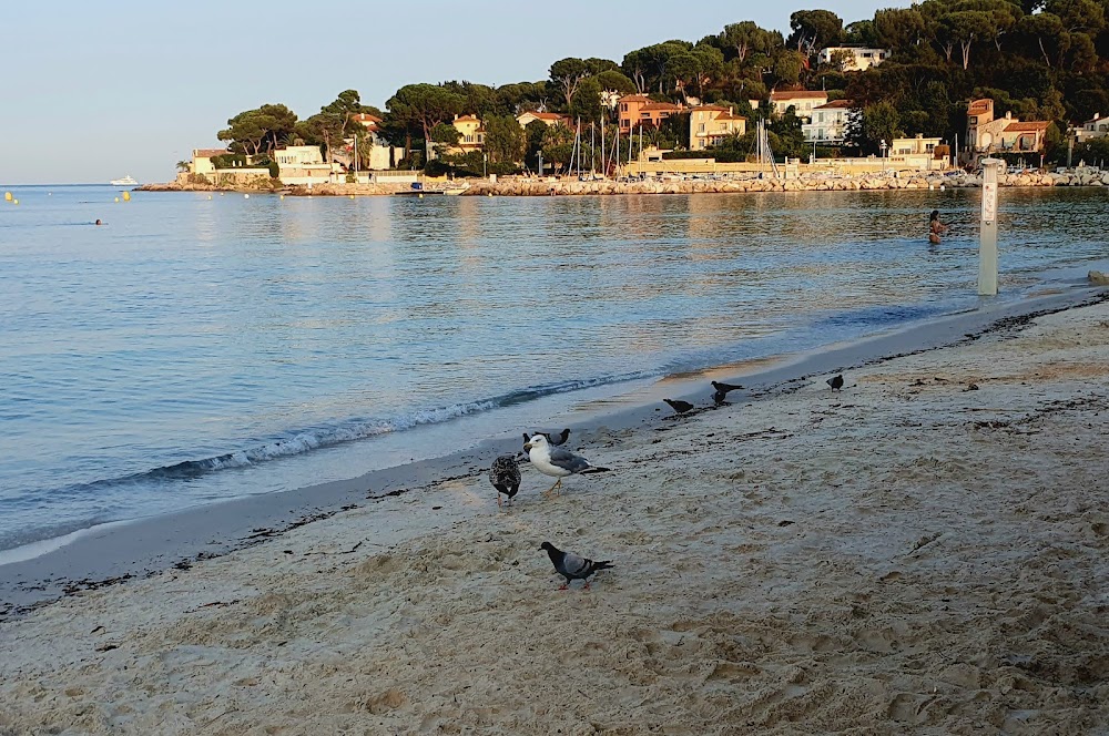 Plage de la Salis