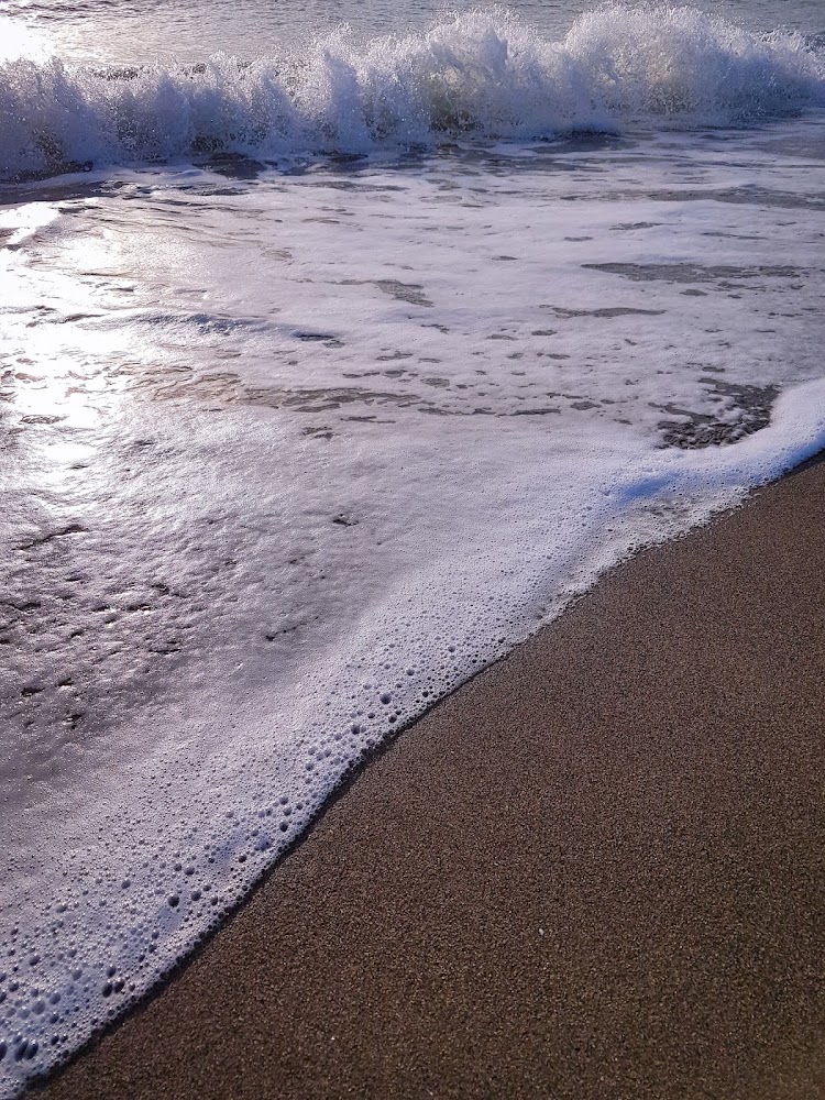 Playa Carihuela