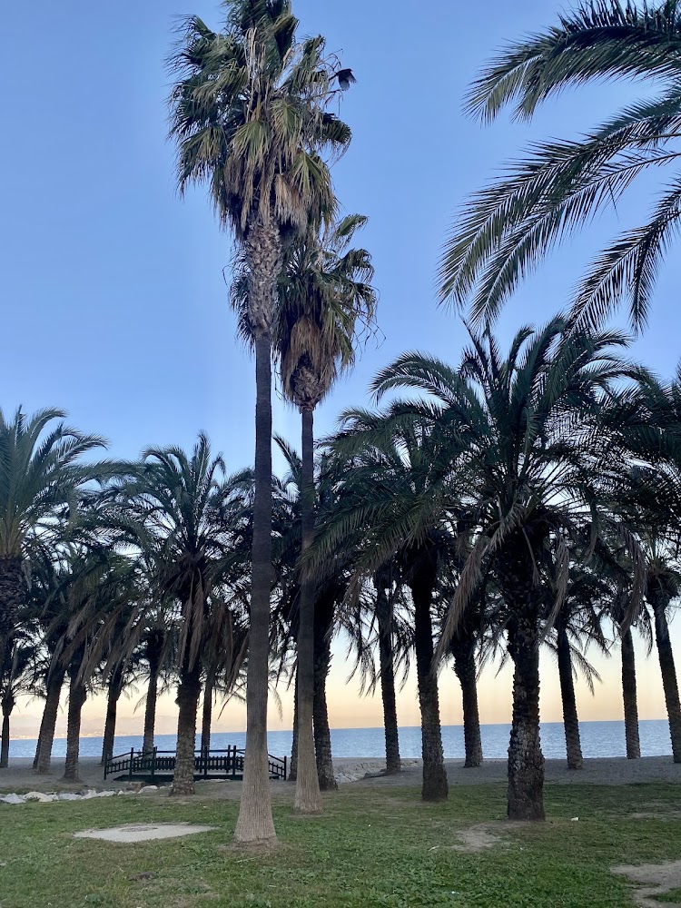 Playa Carihuela