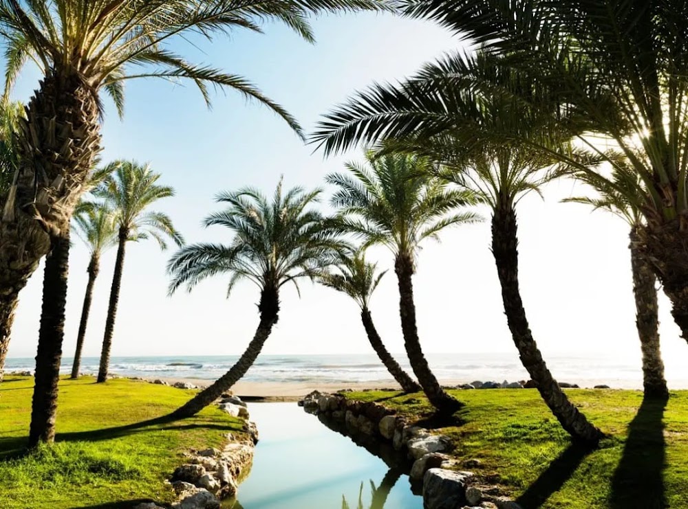 Playa de los Álamos